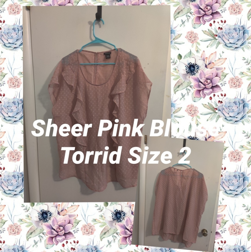 Sheer Pink Blouse
